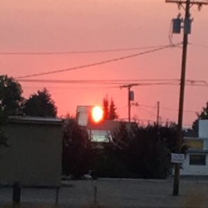 Meet your Posher, Shayla